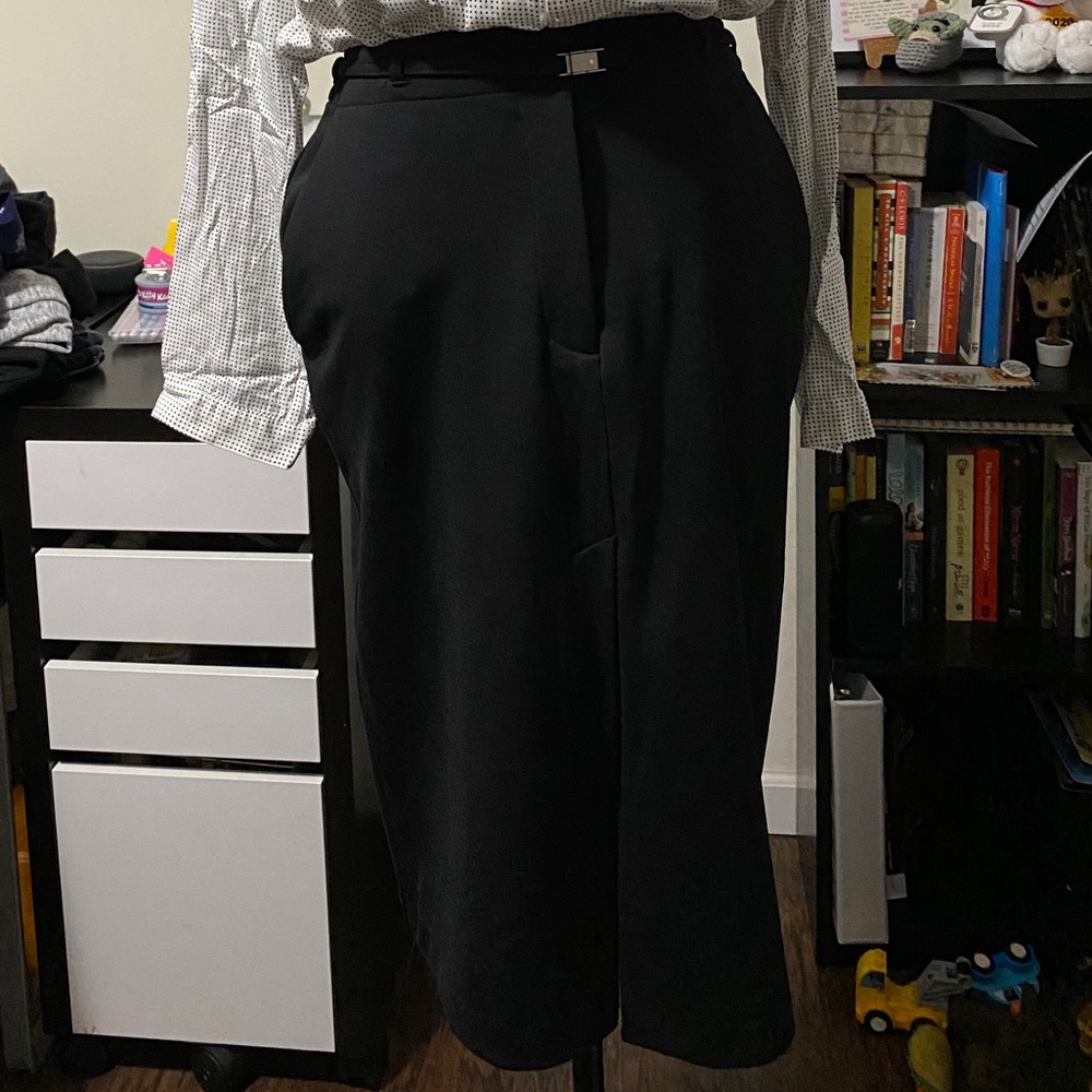 Express Pencil Skirt
